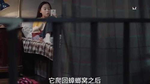 蛇姐最新爆料视频在线看,精彩内容抢先看！